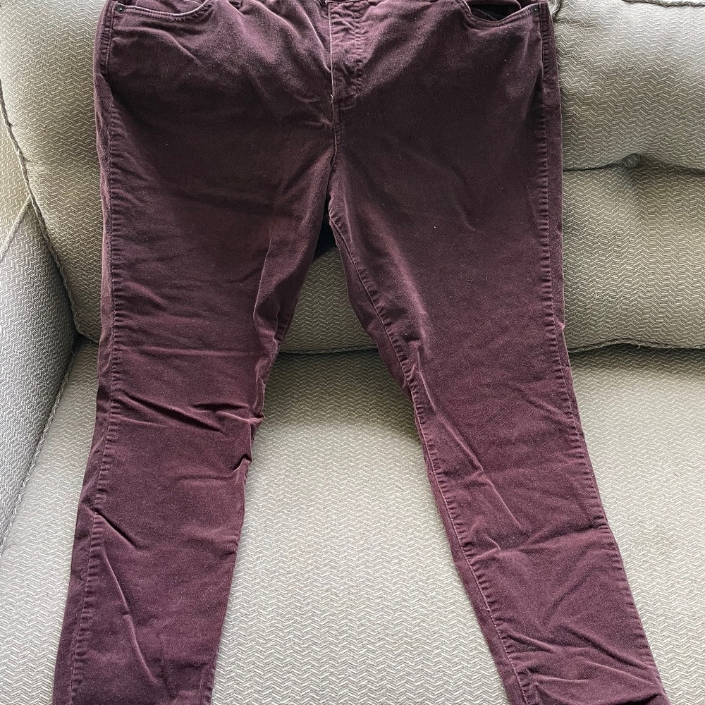 Edyson Maroon Cords 20w